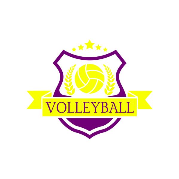 Volleyball 10 Miniatura