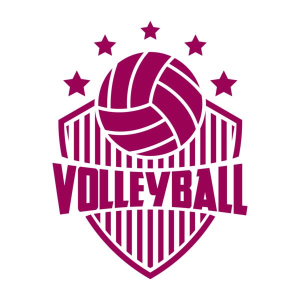 Volleyball 29 Miniatura